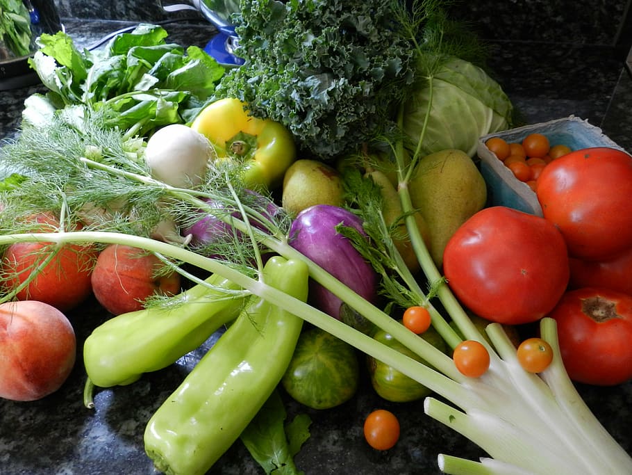 veg – HAHN NURSERY Garden Center and Greenhouses